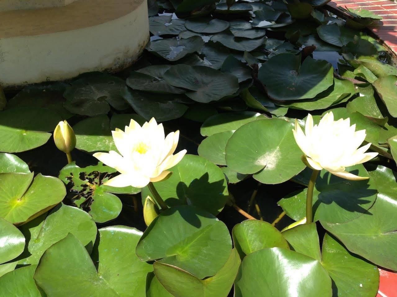 โรงแรมพาราไดซ์ ยองชเว Inle Lake ภายนอก รูปภาพ